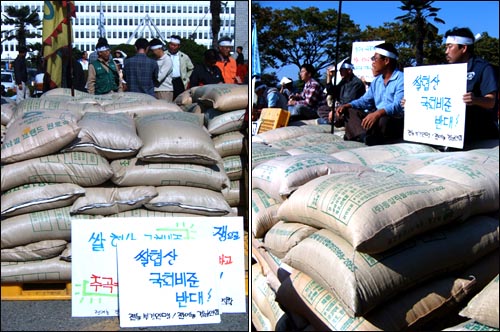 경남도청 앞 쌀 적재. 